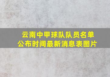 云南中甲球队队员名单公布时间最新消息表图片