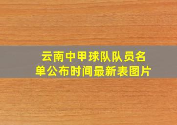 云南中甲球队队员名单公布时间最新表图片