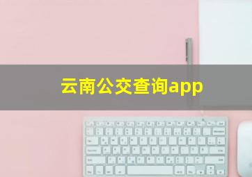 云南公交查询app