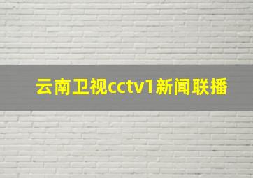 云南卫视cctv1新闻联播