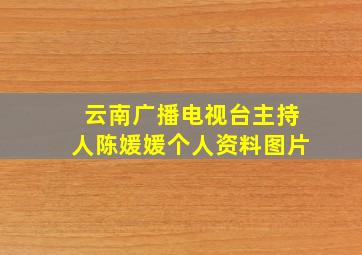 云南广播电视台主持人陈媛媛个人资料图片