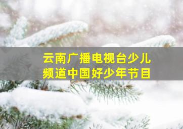 云南广播电视台少儿频道中国好少年节目