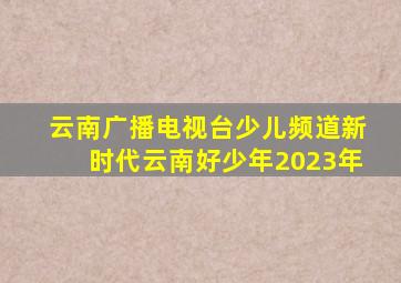 云南广播电视台少儿频道新时代云南好少年2023年