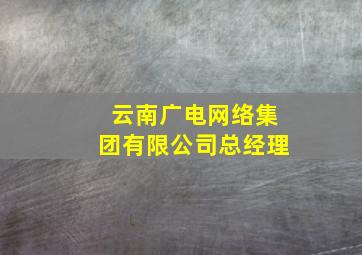 云南广电网络集团有限公司总经理