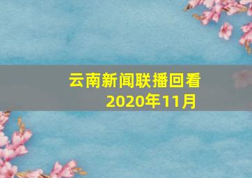 云南新闻联播回看2020年11月