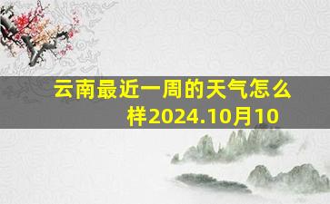 云南最近一周的天气怎么样2024.10月10