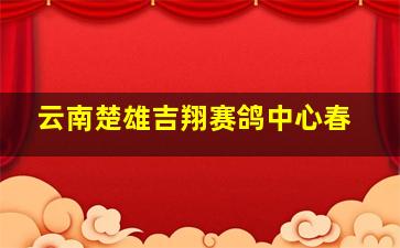 云南楚雄吉翔赛鸽中心春