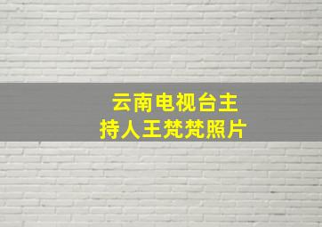 云南电视台主持人王梵梵照片