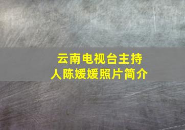 云南电视台主持人陈媛媛照片简介