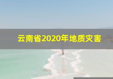 云南省2020年地质灾害