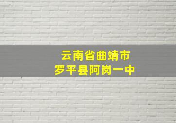 云南省曲靖市罗平县阿岗一中