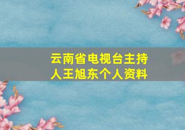 云南省电视台主持人王旭东个人资料