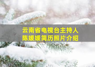 云南省电视台主持人陈媛媛简历照片介绍