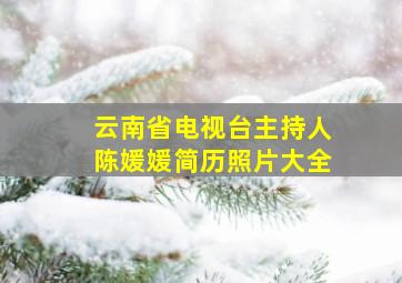 云南省电视台主持人陈媛媛简历照片大全