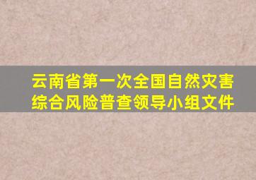 云南省第一次全国自然灾害综合风险普查领导小组文件