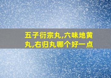 五子衍宗丸,六味地黄丸,右归丸哪个好一点