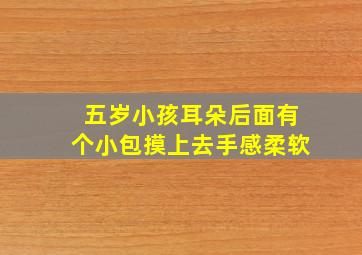 五岁小孩耳朵后面有个小包摸上去手感柔软