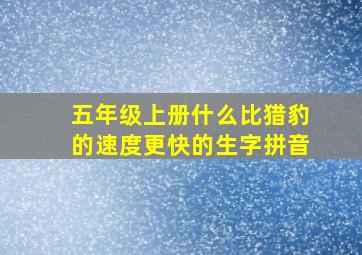 五年级上册什么比猎豹的速度更快的生字拼音