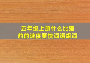 五年级上册什么比猎豹的速度更快词语组词