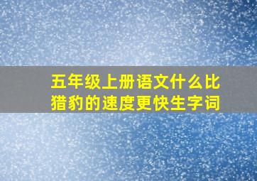 五年级上册语文什么比猎豹的速度更快生字词