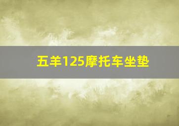 五羊125摩托车坐垫