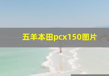 五羊本田pcx150图片