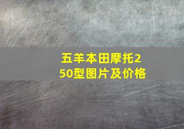 五羊本田摩托250型图片及价格