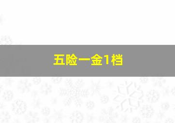 五险一金1档