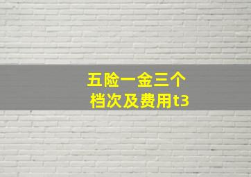 五险一金三个档次及费用t3