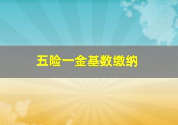 五险一金基数缴纳