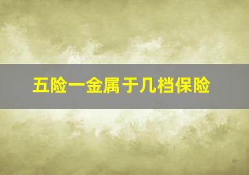 五险一金属于几档保险