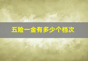 五险一金有多少个档次