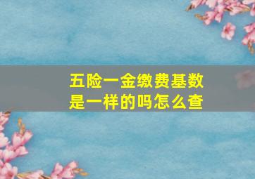 五险一金缴费基数是一样的吗怎么查