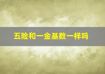 五险和一金基数一样吗