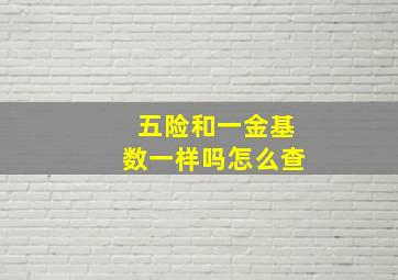 五险和一金基数一样吗怎么查