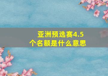 亚洲预选赛4.5个名额是什么意思