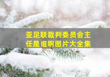 亚足联裁判委员会主任是谁啊图片大全集