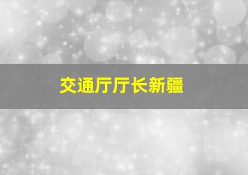 交通厅厅长新疆