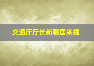 交通厅厅长新疆居来提