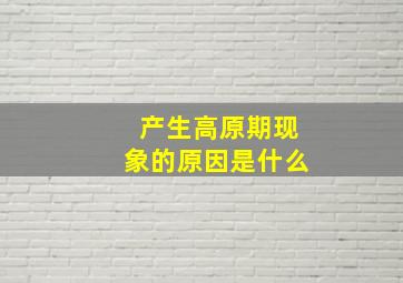 产生高原期现象的原因是什么