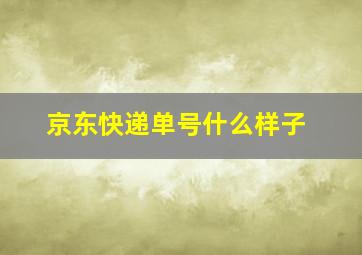 京东快递单号什么样子