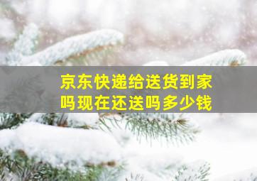 京东快递给送货到家吗现在还送吗多少钱