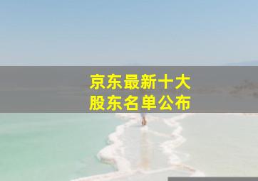 京东最新十大股东名单公布