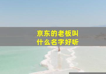 京东的老板叫什么名字好听