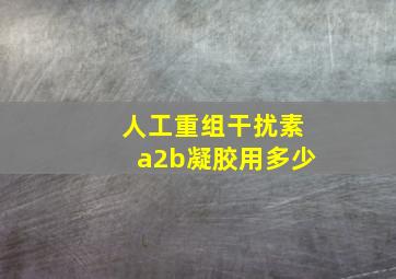 人工重组干扰素a2b凝胶用多少