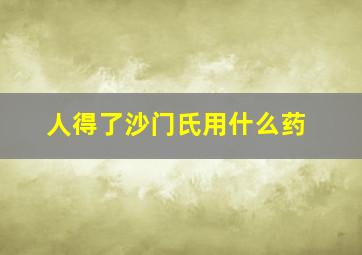 人得了沙门氏用什么药