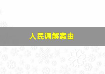 人民调解案由