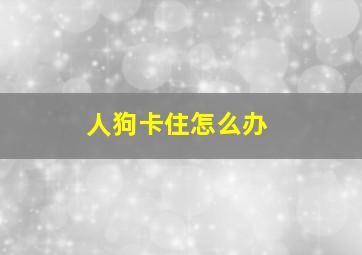 人狗卡住怎么办