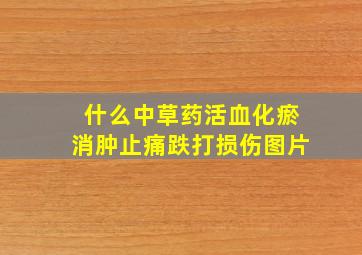 什么中草药活血化瘀消肿止痛跌打损伤图片