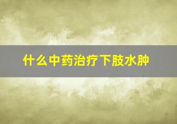 什么中药治疗下肢水肿